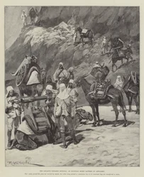 The Advance towards Dongola, an Egyptian Mixed Battery of Artillery